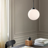 Apiales 1 Large - Taklampe - Flere varianter