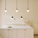 Apiales - Vegglampe