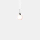 Apiales 1 - Taklampe - Flere varianter
