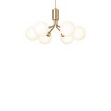 Apiales 6 - Taklampe - Flere varianter