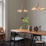 Apiales 6 - Taklampe - Flere varianter