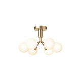 Apiales 6  Ceiling - Taklampe - Flere varianter