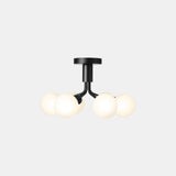 Apiales 6  Ceiling - Taklampe - Flere varianter