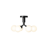 Apiales 6  Ceiling - Taklampe - Flere varianter