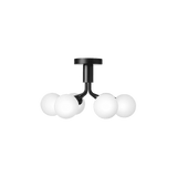 Apiales 6  Ceiling - Taklampe - Flere varianter