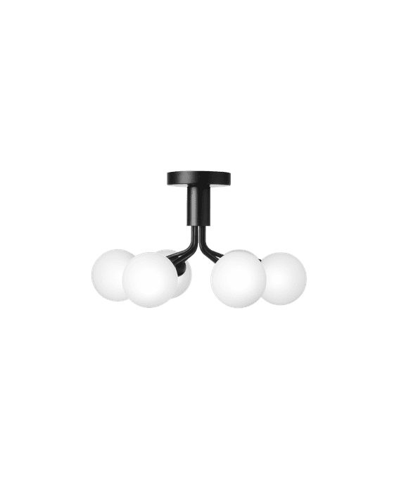 Apiales 6  Ceiling - Taklampe - Flere varianter