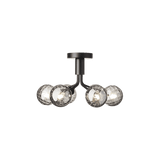 Apiales 6  Ceiling - Taklampe - Flere varianter