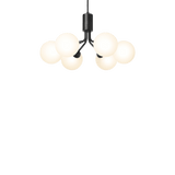 Apiales 6 - Taklampe - Flere varianter