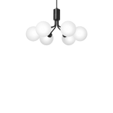 Apiales 6 - Taklampe - Flere varianter