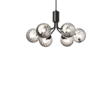 Apiales 6 - Taklampe - Flere varianter