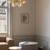 Apiales 9 - Taklampe - Flere varianter