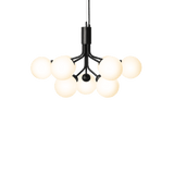 Apiales 9 - Taklampe - Flere varianter