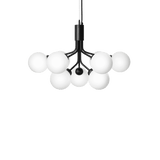 Apiales 9 - Taklampe - Flere varianter
