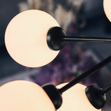 Apiales 9 - Taklampe - Flere varianter