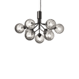 Apiales 9 - Taklampe - Flere varianter