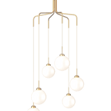 Apiales Cluster 6 - Taklampe - Flere varianter