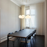 Apiales Cluster 6 - Taklampe - Flere varianter