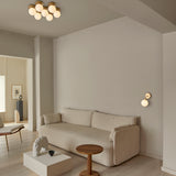 Apiales - Vegglampe