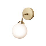 Apiales - Vegglampe