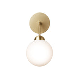 Apiales - Vegglampe