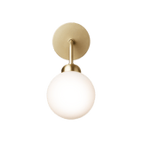 Apiales - Vegglampe