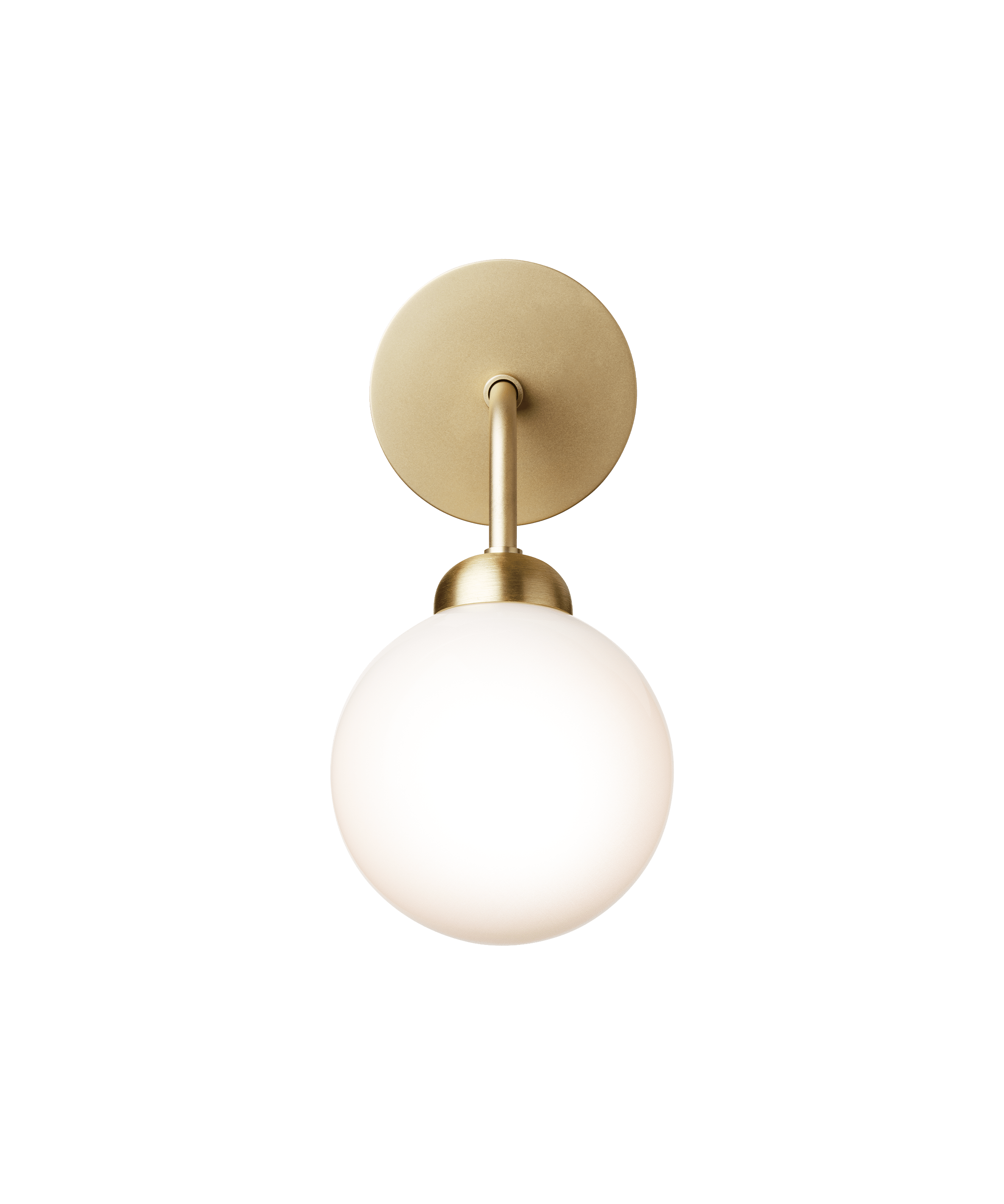 Apiales - Vegglampe