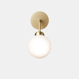 Apiales - Vegglampe