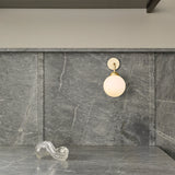 Apiales - Vegglampe