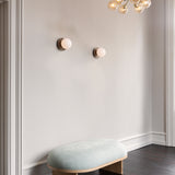 Apiales 6 - Taklampe - Flere varianter