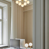 Apiales 9 - Taklampe - Flere varianter