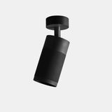 Patrone Canopy Takspot - Flere varianter