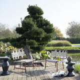 Inout 47/48/49 - Sidebord - Outdoor - Flere Varianter