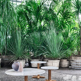 Jeko 46 - Sofabord - Outdoor