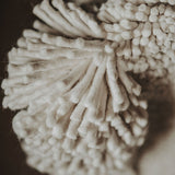 Tapestry no.02